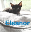 Eleanor Sweetest of all