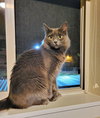 LUNA & STELLA - Bonded Young & Playful
