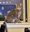 LUNA & STELLA - Bonded Young & Playful