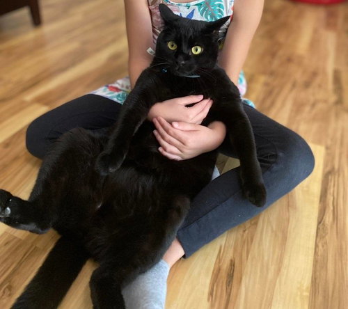 LUNA - Offered by Owner - Loves Children