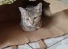 MACKAYE & ODLIN - Beautiful and Bonded