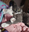PRETTY BABY - Offered by Owner - Please Read!