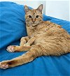SONNY - Offered by Owner - Friendly and Chatty