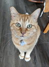 SONNY - Offered by Owner - Friendly and Chatty