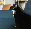 MAEVE -Offered by Owner