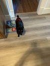 JONES - Offered by Owner - Special Needs