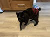 JONES - Offered by Owner - Special Needs