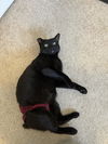 JONES - Offered by Owner - Special Needs