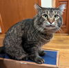 TOBY - Offered by Owner