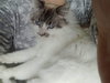 FREYJA - Offered by Owner