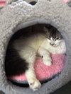 FREYJA - Offered by Owner