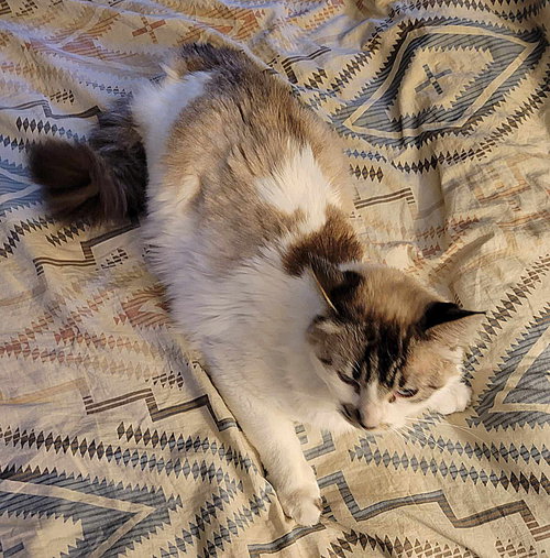 FREYJA - Offered by Owner