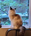 FREYJA - Offered by Owner