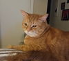 DIEGO - Offered by Owner