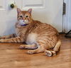 DIEGO - Offered by Owner