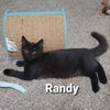 Carl, Axl and Randy - Offered by Owner - Brothers