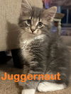 Juggernaut and Taggert