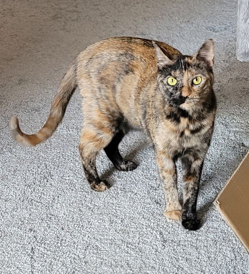 ETHEL - Offered by Owner - Sweet One & Only