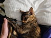 ETHEL - Offered by Owner - Sweet One & Only