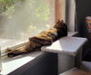 ETHEL - Offered by Owner - Sweet One & Only