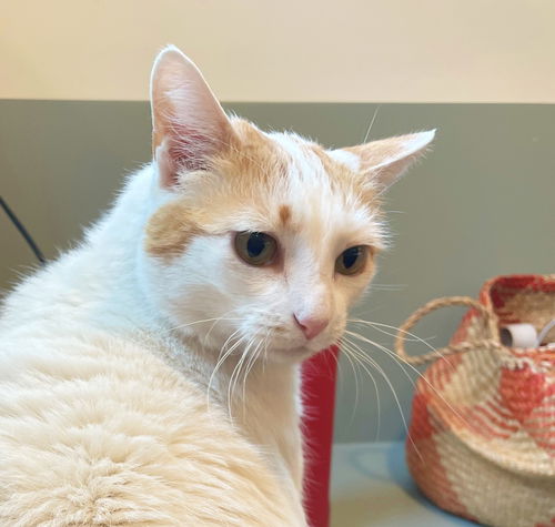 BEVERLY - Offered by Owner