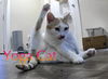 BEVERLY - Offered by Owner