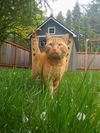BEHR -Offered by Owner- Can I come Inside?