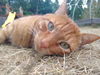 BEHR -Offered by Owner- Can I come Inside?