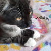 TALLULAH - Offered by Owner