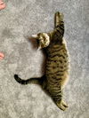 DOTTIE MARIE - Offered by Owner - People friendly
