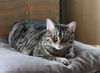 DOTTIE MARIE - Offered by Owner - People friendly