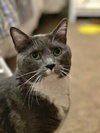 PRINCE - Offered by Owner - Brother to Rosie