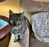 STAR & SPLASH - Offered by Owner - Senior Lovelies