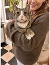 OLLIE - Offered by Owner - Young Male