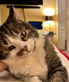 BEE GEE - Offered by Owner - Loving Senior