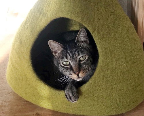 OTTER - Offered by Owner - 'Young' Senior