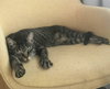 OTTER - Offered by Owner - 'Young' Senior