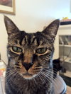 OTTER - Offered by Owner - 'Young' Senior
