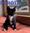 DOROTHY & FASTIE  ~ brother & sister duo