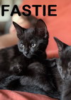 DOROTHY & FASTIE  ~ brother & sister duo