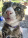 MOOCHIE - Offered by Owner - Young