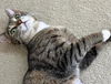 LILY - Young and Available!