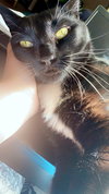 DUTCHESS - Offered by Owner -Big and Snuggly