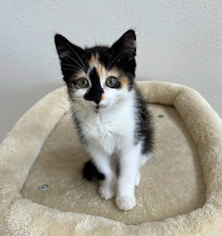 KIZZY - Loves People!