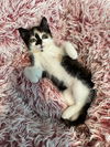 KIZZY - Loves People!