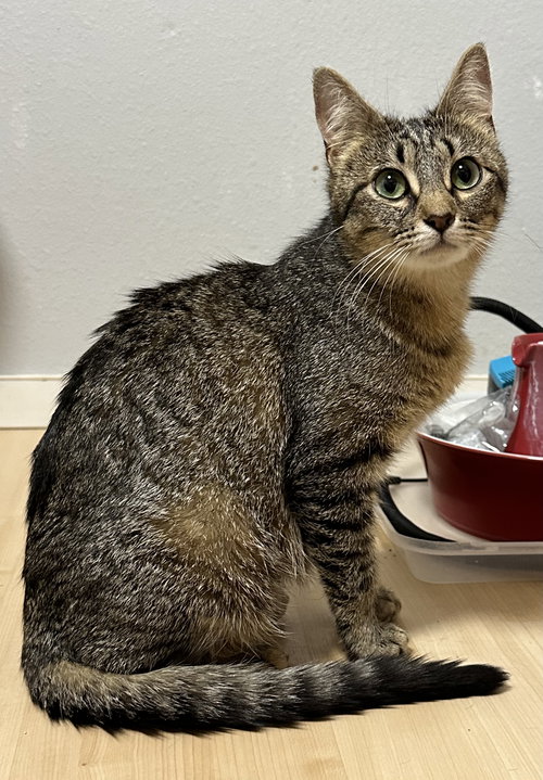 CHARLIE - Mom to 