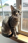 CHARLIE - Mom to 