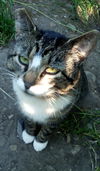 MAURICE - Offered by Owner