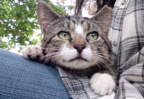 MAURICE - Offered by Owner
