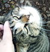 MAURICE - Offered by Owner